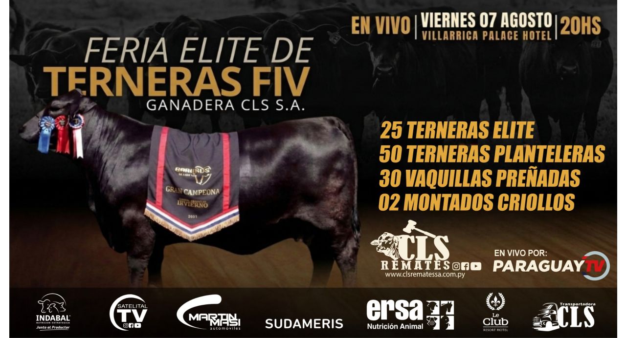 TERNERAS ELITE